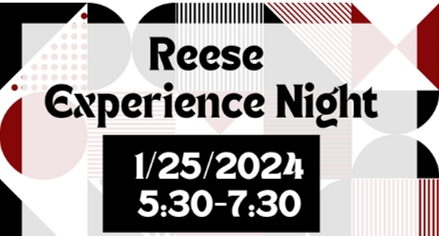  experience